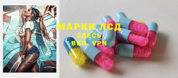 твердый Аркадак